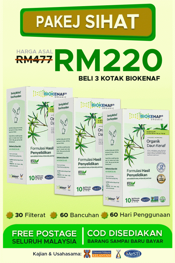 Pakej Sihat (3 Kotak Biokenaf) Free Bengkung